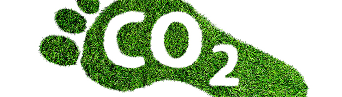 Klimaschutz und Carbon Footprint – nachhaltig wirtschaften mit EFQM 