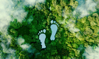 Klimaneutralität und CO2-Fußabdruck – was bedeutet die Umsetzung für meine Organisation? 